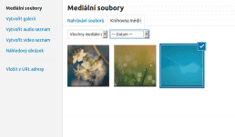 wordpress-clanek-media-knihovna