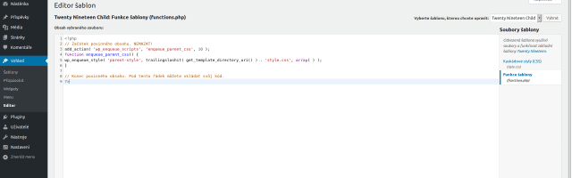 editace function.php z administrace WordPress