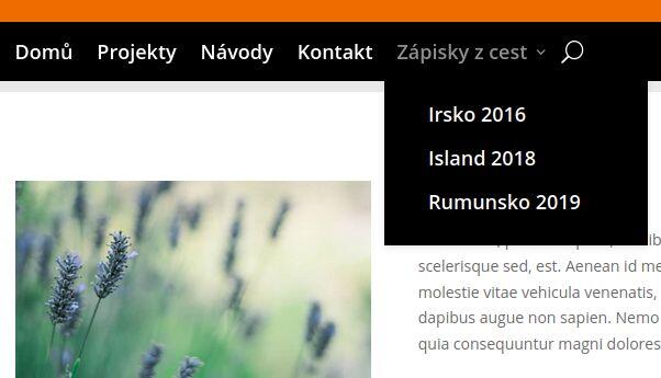 WordPress – jak nastavit neprokliknutelnou položku menu